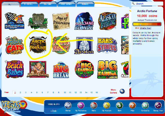 Microgaming Casino Guide - Step 5 - Playing The Games